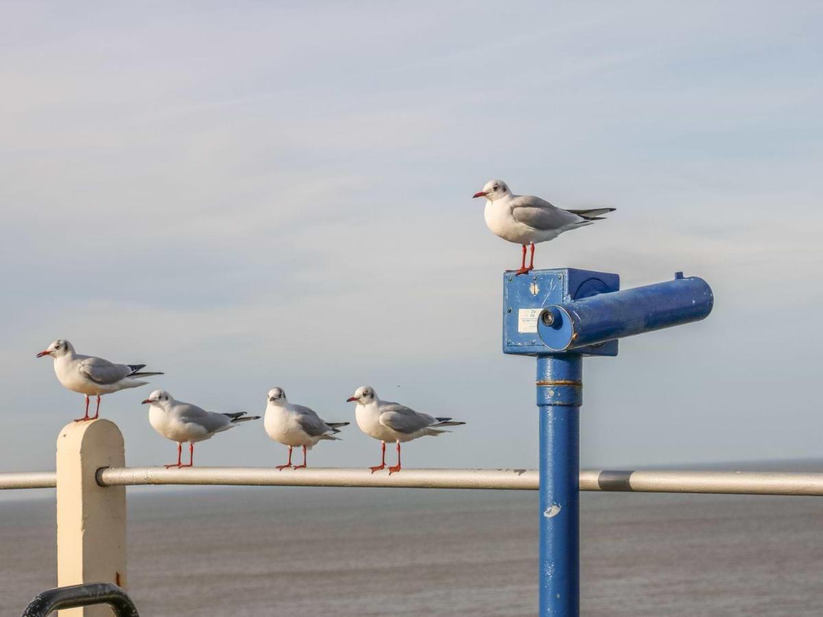 Robins Nest Villa Cromer Exterior foto